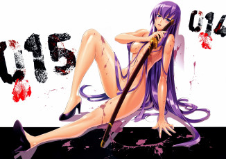 Картинка busujima saeko аниме highschool of the dead девушка катана