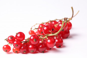 Картинка еда смородина красная