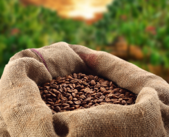 Обои картинки фото еда, кофе, кофейные, зёрна, напиток