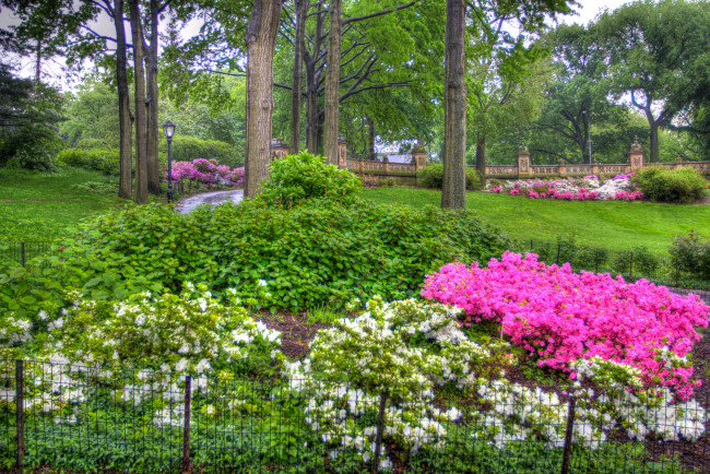 Обои картинки фото the, garden, природа, парк, деревья, цветы