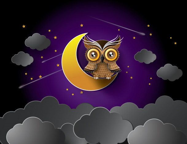 Обои картинки фото векторная графика, птицы, звезды, ночь, сова, тучи, луна
