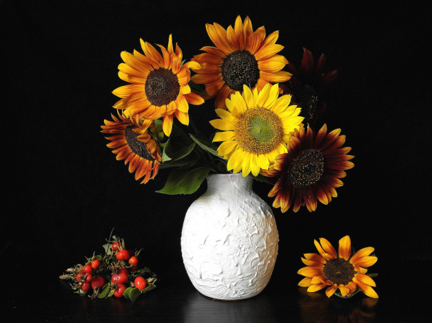 Обои картинки фото цветы, подсолнухи, букет, шиповник