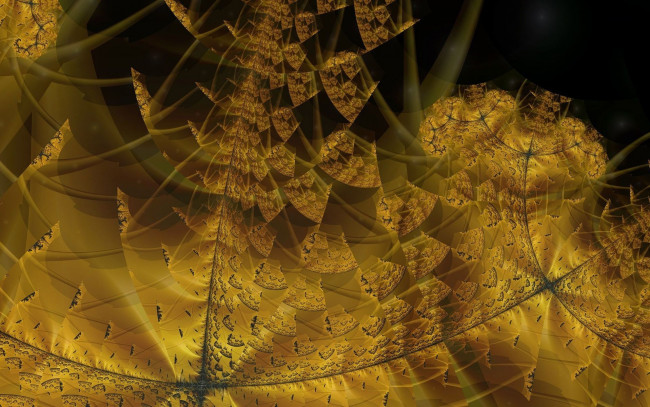 Обои картинки фото 3д графика, фракталы , fractal, узор