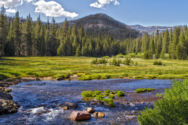 Обои картинки фото природа, реки, озера, река, лес, горы