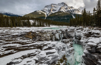 Картинка природа горы athabasca fall jasper national park река