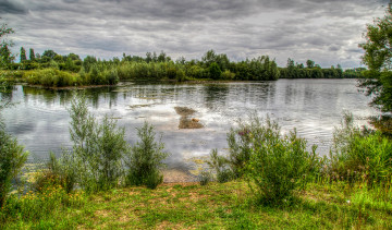 Картинка природа реки озера лес заросли тучи река