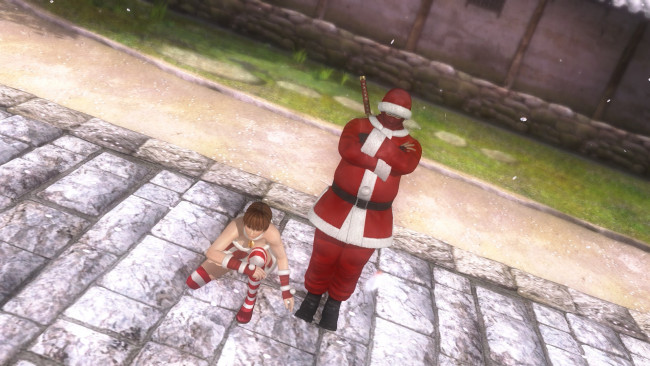 Обои картинки фото видео игры, dead or alive 5, персонажи