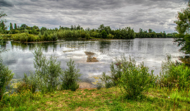 Обои картинки фото природа, реки, озера, лес, заросли, тучи, река