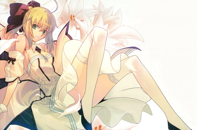 Обои картинки фото аниме, fate, stay night, stay, night, unlimited, codes, saber, lily, арт, девушка, takeuchi, takashi