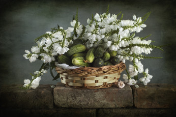 Картинка еда огурцы цветы физостегия