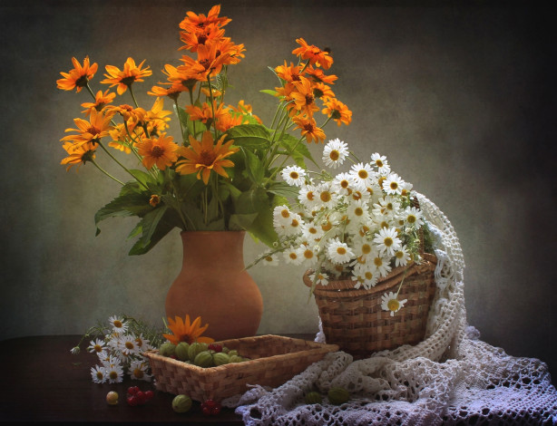 Обои картинки фото цветы, разные вместе, ромашки, рудбекия, крыжовник