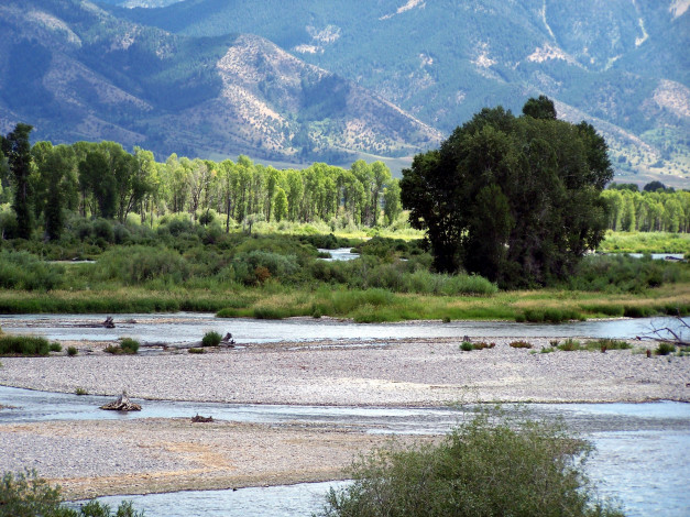 Обои картинки фото природа, реки, озера, горы, река, деревья