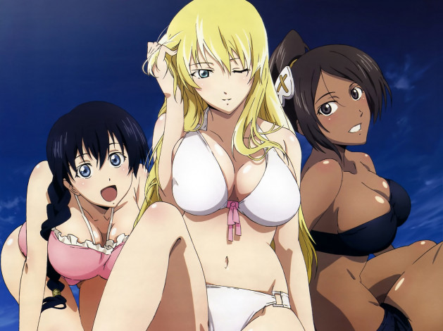 Обои картинки фото аниме, broken blade, девушки