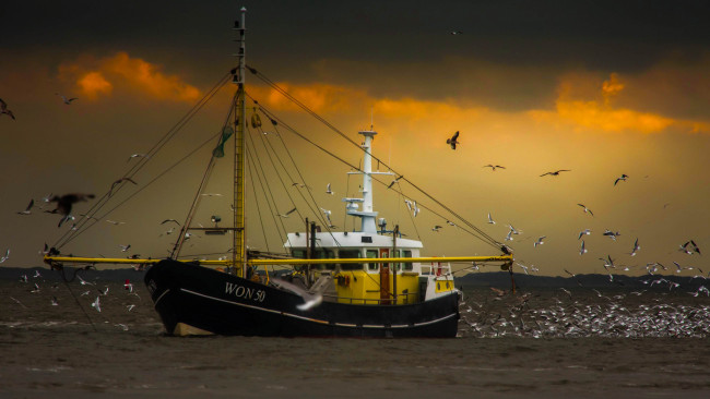 Обои картинки фото корабли, другое, рыболов