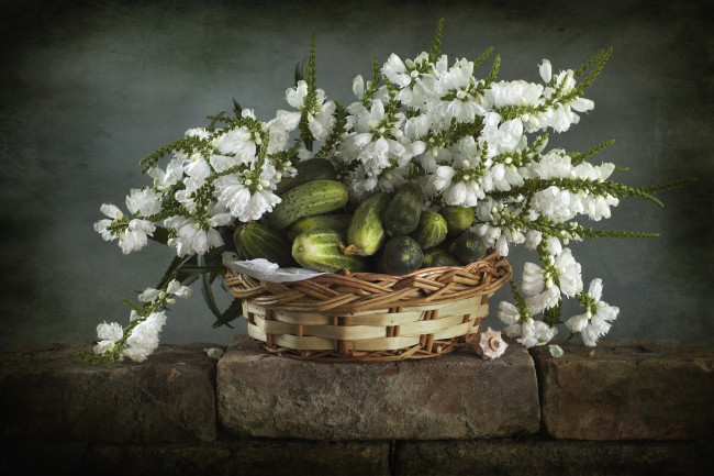 Обои картинки фото еда, огурцы, цветы, физостегия