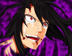 Картинка аниме fairy+tail гаджил