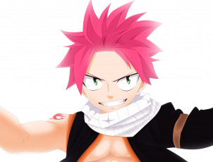 Картинка аниме fairy+tail хвост феи