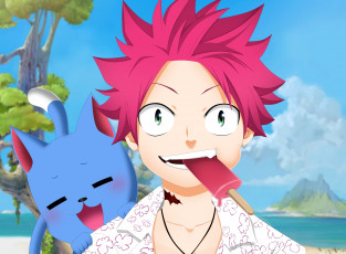 Картинка аниме fairy+tail хвост феи