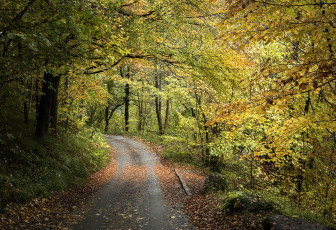 Картинка природа дороги простор