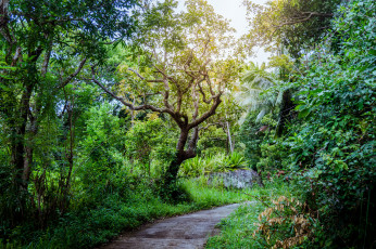 Картинка природа дороги простор