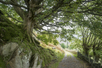 Картинка природа дороги простор