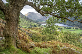 Картинка природа пейзажи простор