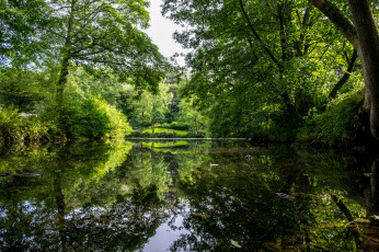 Картинка природа реки озера простор