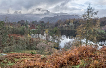 Картинка природа реки озера простор