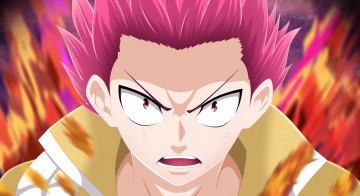 Картинка аниме fairy+tail хвост феи