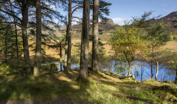 Картинка природа реки озера простор