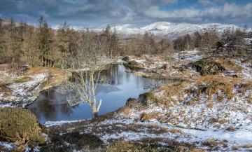 Картинка природа реки озера простор