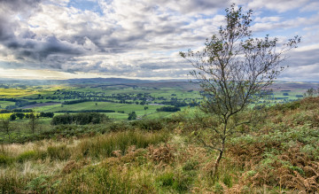 Картинка природа пейзажи простор