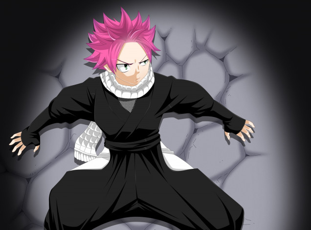 Обои картинки фото аниме, fairy tail, хвост, феи