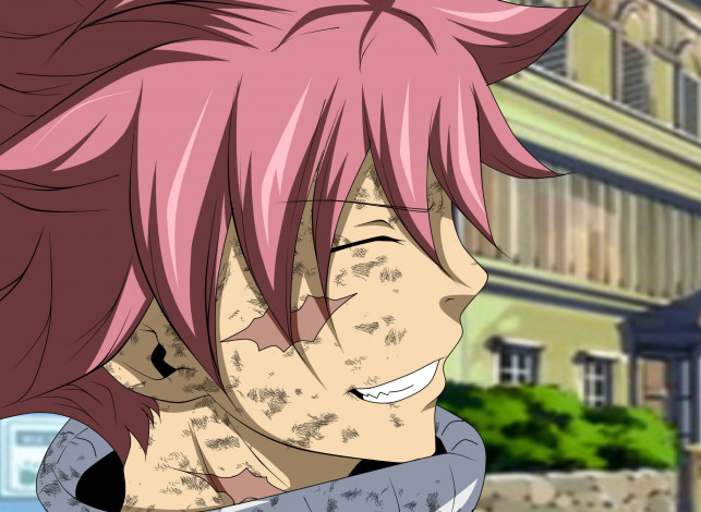 Обои картинки фото аниме, fairy tail, хвост, феи