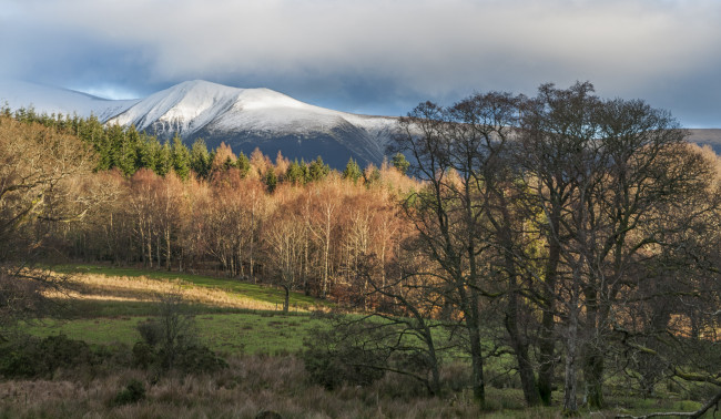 Обои картинки фото природа, пейзажи, простор