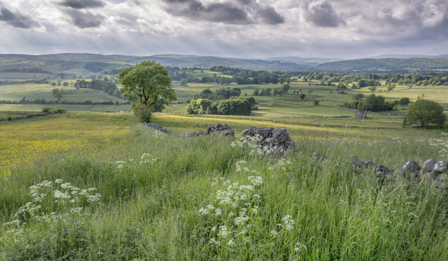 Обои картинки фото природа, пейзажи, простор