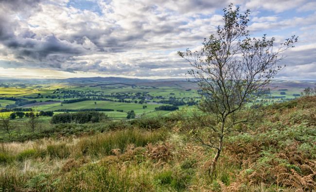 Обои картинки фото природа, пейзажи, простор