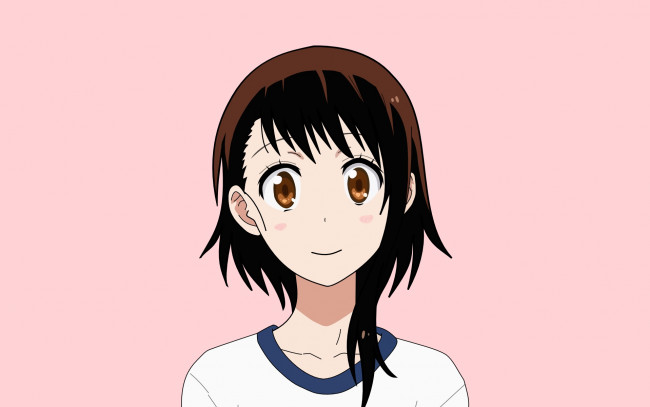 Обои картинки фото аниме, nisekoi, взгляд, девушка, фон