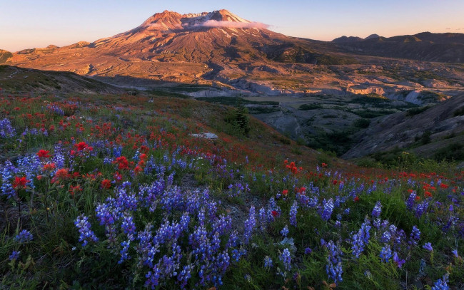 Обои картинки фото природа, луга, горы, луг