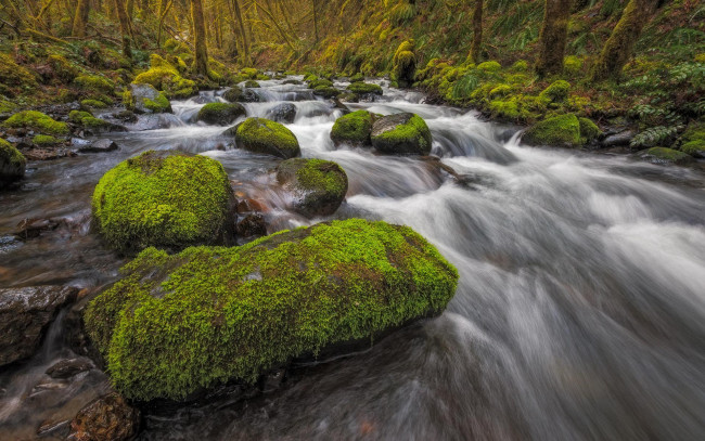 Обои картинки фото природа, реки, озера, деревья, скалы, водопад