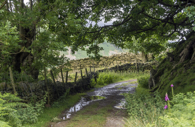 Обои картинки фото природа, дороги, простор