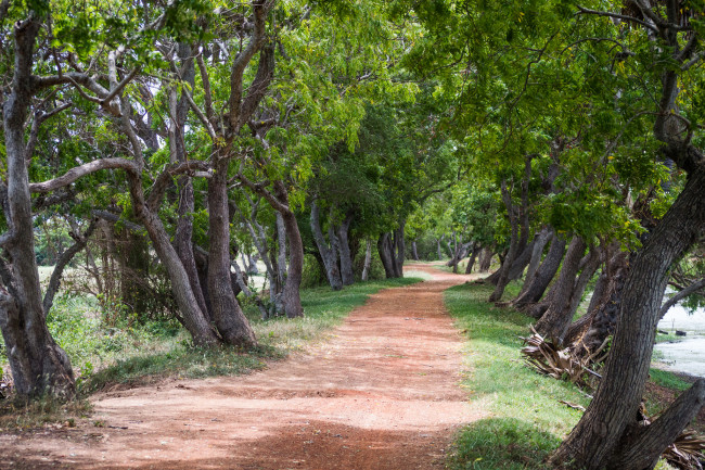 Обои картинки фото природа, дороги, простор