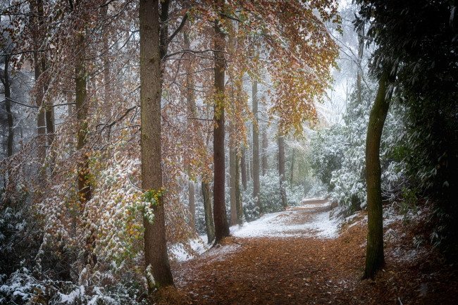 Обои картинки фото природа, дороги, простор