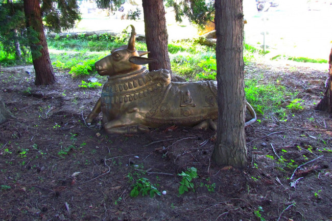 Обои картинки фото прага, разное, садовые и парковые скульптуры, буйвол, деревья