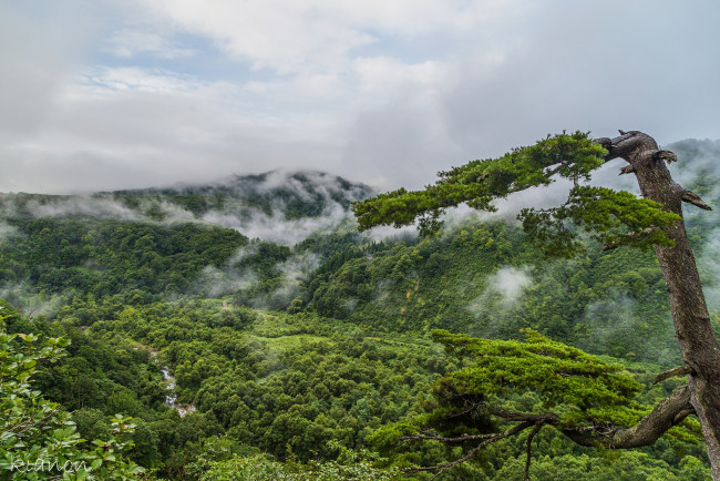 Обои картинки фото природа, пейзажи, простор