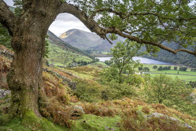 Обои картинки фото природа, пейзажи, простор