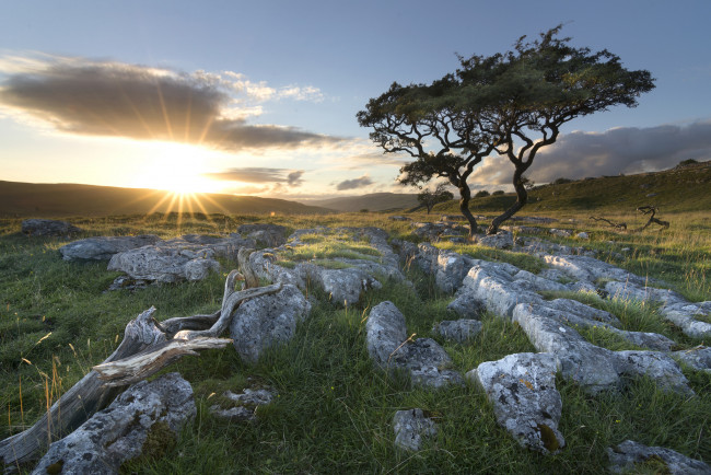 Обои картинки фото природа, пейзажи, простор