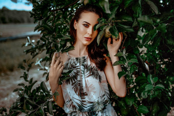 Картинка девушка девушки -unsort+ брюнетки темноволосые модель