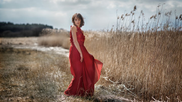 Картинка девушка девушки -unsort+ брюнетки темноволосые модель