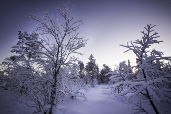 Картинка природа зима простор